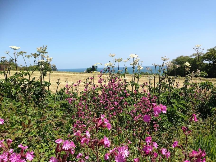 Little Bream - Pretty Cosy Cottage, Sea Views, Walk To The Beach Mawnan Smith 외부 사진