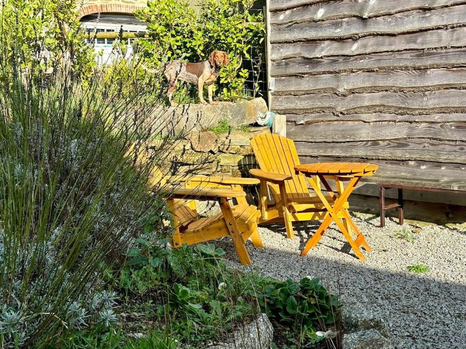 Little Bream - Pretty Cosy Cottage, Sea Views, Walk To The Beach Mawnan Smith 외부 사진